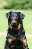 BEAUCERON 852